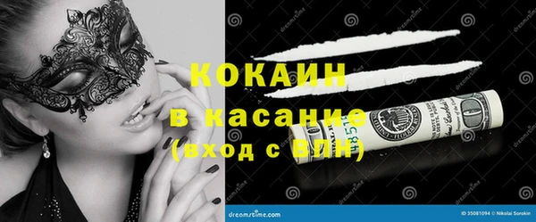 сатива Алексеевка