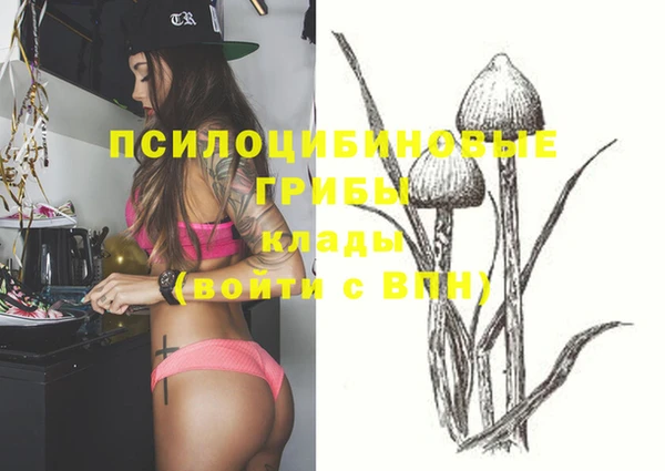 сатива Алексеевка